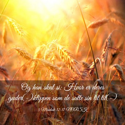 Picture 03 - 5 Mosebok 32:37 NORSK - Og han skal si: Hvor er deres guder(-)klippen som - Bible Verse Picture