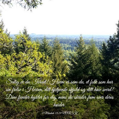 Picture 03 - 5 Mosebok 33:29 NORSK - Salig er du, Israel! Hvem er som du, et folk som - Bible Verse Picture