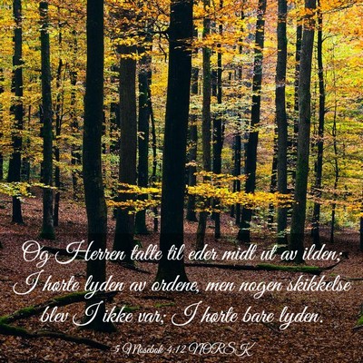 Picture 03 - 5 Mosebok 4:12 NORSK - Og Herren talte til eder midt ut av ilden; I - Bible Verse Picture
