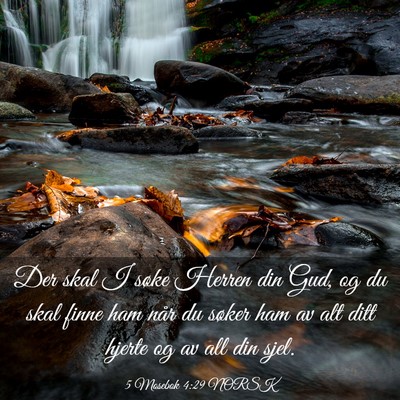 Picture 03 - 5 Mosebok 4:29 NORSK - Der skal I søke Herren din Gud, og du skal finne - Bible Verse Picture
