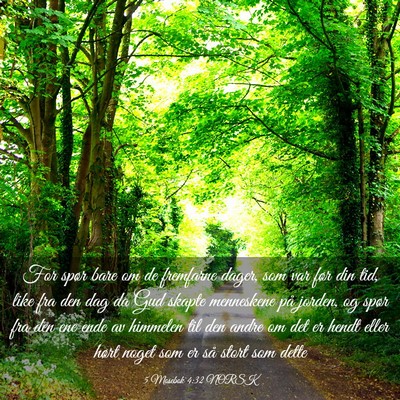 Picture 03 - 5 Mosebok 4:32 NORSK - For spør bare om de fremfarne dager, som var - Bible Verse Picture