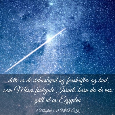 Picture 03 - 5 Mosebok 4:45 NORSK - dette er de vidnesbyrd og forskrifter og bud som - Bible Verse Picture