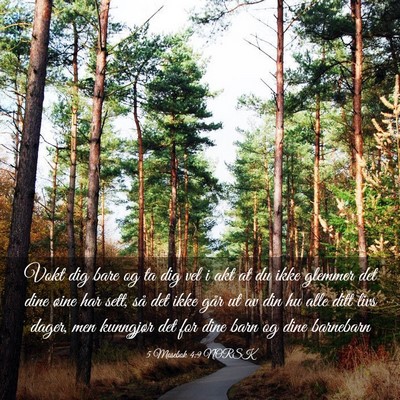Picture 03 - 5 Mosebok 4:9 NORSK - Vokt dig bare og ta dig vel i akt at du ikke - Bible Verse Picture