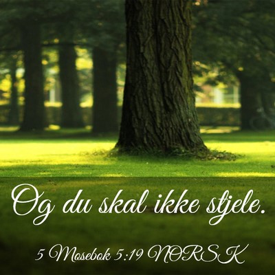 Picture 03 - 5 Mosebok 5:19 NORSK - Og du skal ikke - Bible Verse Picture