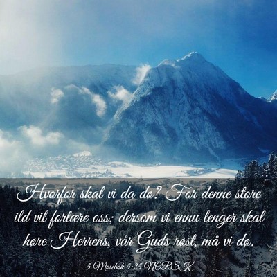 Picture 03 - 5 Mosebok 5:25 NORSK - Hvorfor skal vi da dø? For denne store ild vil - Bible Verse Picture