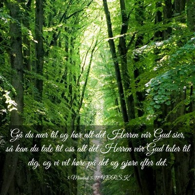 Picture 03 - 5 Mosebok 5:27 NORSK - Gå du nær til og hør alt det Herren vår Gud - Bible Verse Picture