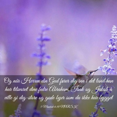 Picture 03 - 5 Mosebok 6:10 NORSK - Og når Herren din Gud fører dig inn i det land - Bible Verse Picture