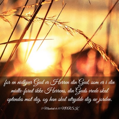 Picture 03 - 5 Mosebok 6:15 NORSK - for en nidkjær Gud er Herren din Gud, som er i - Bible Verse Picture