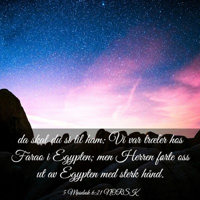 Picture 03 - 5 Mosebok 6:21 NORSK - da skal du si til ham: Vi var træler hos Farao i - Bible Verse Picture