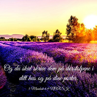 Picture 03 - 5 Mosebok 6:9 NORSK - Og du skal skrive dem på dørstolpene i ditt hus - Bible Verse Picture