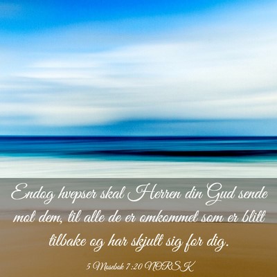 Picture 03 - 5 Mosebok 7:20 NORSK - Endog hvepser skal Herren din Gud sende mot dem, - Bible Verse Picture