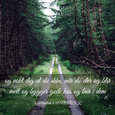 Picture 03 - 5 Mosebok 8:12 NORSK - og vokt dig at du ikke, når du eter og blir mett - Bible Verse Picture