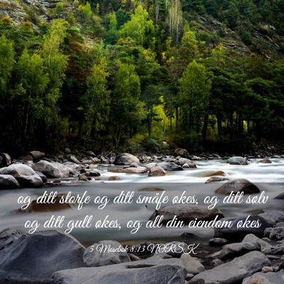 Picture 03 - 5 Mosebok 8:13 NORSK - og ditt storfe og ditt småfe økes, og ditt - Bible Verse Picture