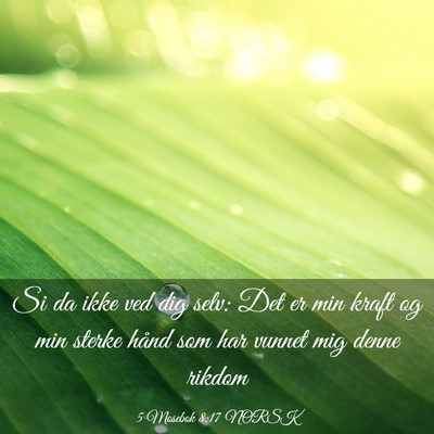 Picture 03 - 5 Mosebok 8:17 NORSK - Si da ikke ved dig selv: Det er min kraft og min - Bible Verse Picture