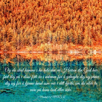 Picture 03 - 5 Mosebok 8:2 NORSK - Og du skal komme i hu hele den vei Herren din Gud - Bible Verse Picture