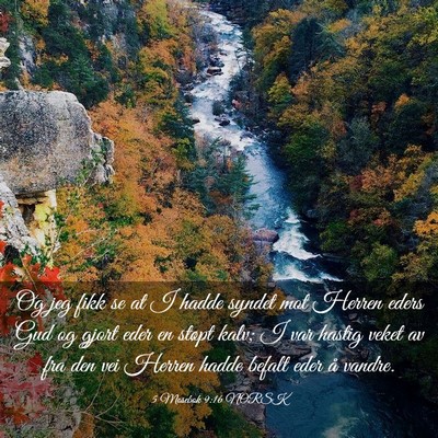Picture 03 - 5 Mosebok 9:16 NORSK - Og jeg fikk se at I hadde syndet mot Herren eders - Bible Verse Picture