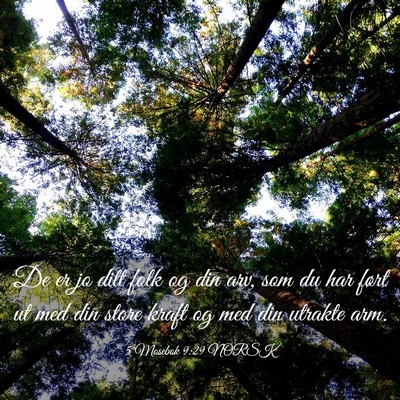 Picture 03 - 5 Mosebok 9:29 NORSK - De er jo ditt folk og din arv, som du har ført - Bible Verse Picture