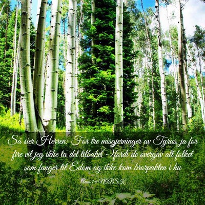 Picture 03 - Amos 1:9 NORSK - Så sier Herren: For tre misgjerninger av Tyrus, - Bible Verse Picture