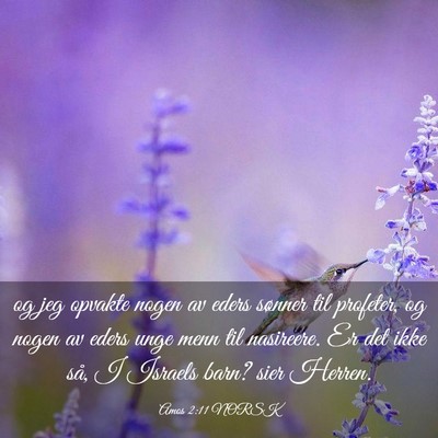 Picture 03 - Amos 2:11 NORSK - og jeg opvakte nogen av eders sønner til - Bible Verse Picture