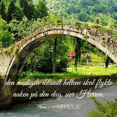 Picture 03 - Amos 2:16 NORSK - den modigste iblandt heltene skal flykte naken - Bible Verse Picture