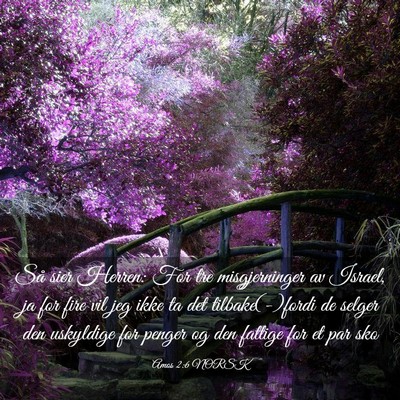 Picture 03 - Amos 2:6 NORSK - Så sier Herren: For tre misgjerninger av Israel, - Bible Verse Picture