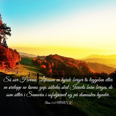 Picture 03 - Amos 3:12 NORSK - Så sier Herren: Likesom en hyrde berger to - Bible Verse Picture