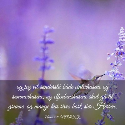 Picture 03 - Amos 3:15 NORSK - og jeg vil sønderslå både vinterhusene og - Bible Verse Picture