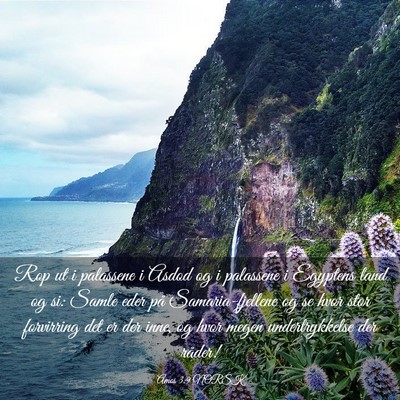 Picture 03 - Amos 3:9 NORSK - Rop ut i palassene i Asdod og i palassene i - Bible Verse Picture