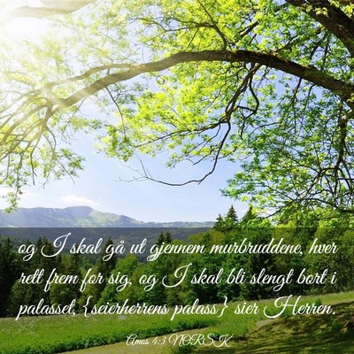 Picture 03 - Amos 4:3 NORSK - og I skal gå ut gjennem murbruddene, hver rett - Bible Verse Picture