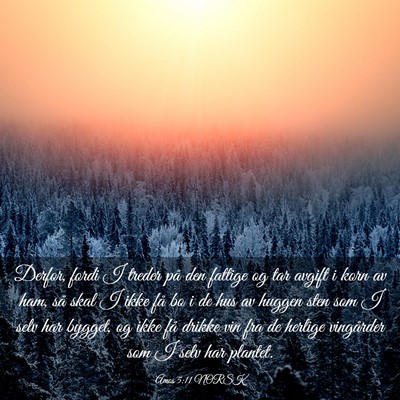 Picture 03 - Amos 5:11 NORSK - Derfor, fordi I treder på den fattige og tar - Bible Verse Picture