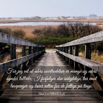 Picture 03 - Amos 5:12 NORSK - For jeg vet at eders overtredelser er mange og - Bible Verse Picture