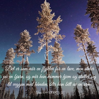 Picture 03 - Amos 5:19 NORSK - Det er som når en flykter for en løve, men - Bible Verse Picture