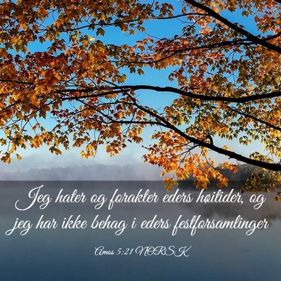 Picture 03 - Amos 5:21 NORSK - Jeg hater og forakter eders høitider, og jeg har - Bible Verse Picture