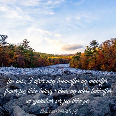 Picture 03 - Amos 5:22 NORSK - for om I ofrer mig brennoffer og matoffer, finner - Bible Verse Picture