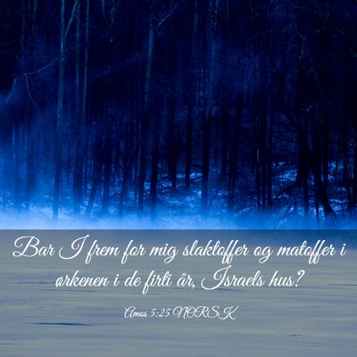 Picture 03 - Amos 5:25 NORSK - Bar I frem for mig slaktoffer og matoffer i - Bible Verse Picture