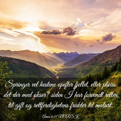Picture 03 - Amos 6:12 NORSK - Springer vel hestene opefter fjellet, eller - Bible Verse Picture
