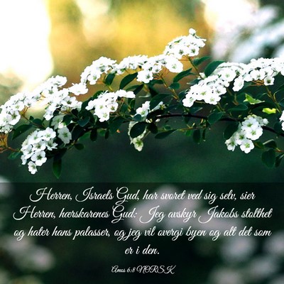 Picture 03 - Amos 6:8 NORSK - Herren, Israels Gud, har svoret ved sig selv, - Bible Verse Picture