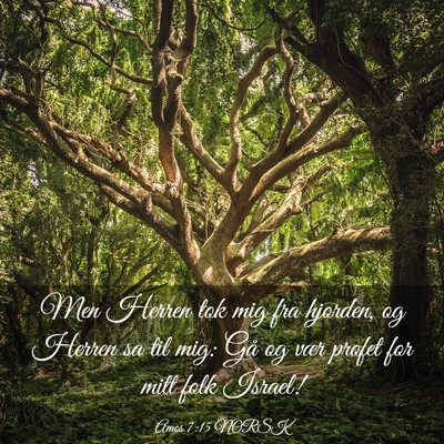 Picture 03 - Amos 7:15 NORSK - Men Herren tok mig fra hjorden, og Herren sa til - Bible Verse Picture