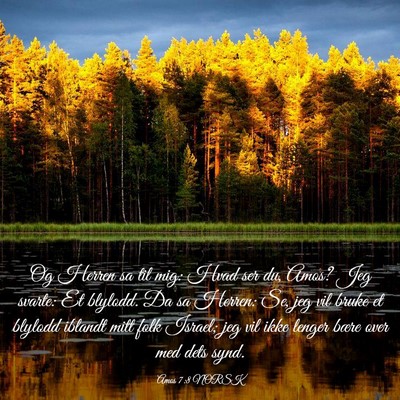 Picture 03 - Amos 7:8 NORSK - Og Herren sa til mig: Hvad ser du, Amos? Jeg - Bible Verse Picture