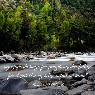 Picture 03 - Amos 8:6 NORSK - og kjøpe de ringe for penger og den fattige for - Bible Verse Picture