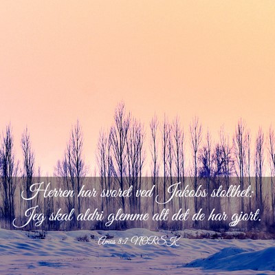 Picture 03 - Amos 8:7 NORSK - Herren har svoret ved Jakobs stolthet: Jeg skal - Bible Verse Picture