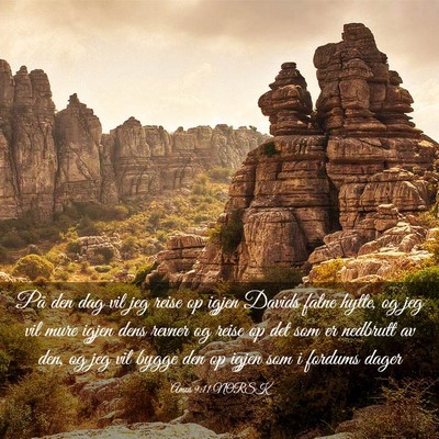 Picture 03 - Amos 9:11 NORSK - På den dag vil jeg reise op igjen Davids falne - Bible Verse Picture