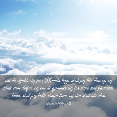 Picture 03 - Amos 9:3 NORSK - om de skjuler sig på Karmels topp, skal jeg lete - Bible Verse Picture