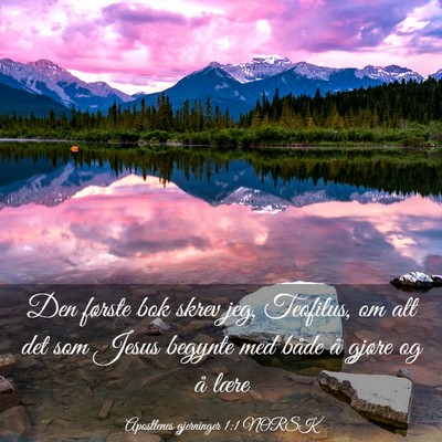 Picture 03 - Apostlenes gjerninger 1:1 NORSK - Den første bok skrev jeg, Teofilus, om alt det - Bible Verse Picture