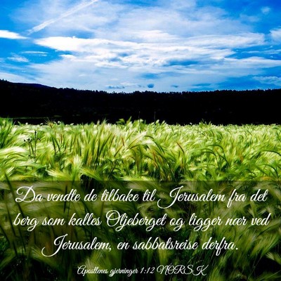 Picture 03 - Apostlenes gjerninger 1:12 NORSK - Da vendte de tilbake til Jerusalem fra det berg - Bible Verse Picture