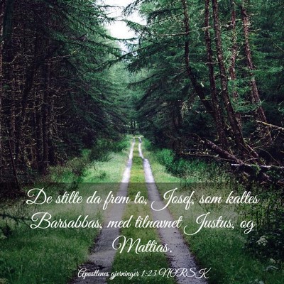 Picture 03 - Apostlenes gjerninger 1:23 NORSK - De stilte da frem to, Josef, som kaltes - Bible Verse Picture