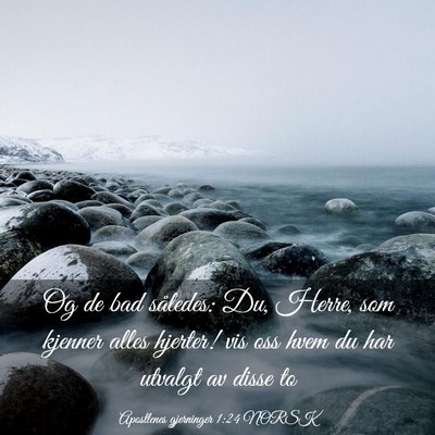 Picture 03 - Apostlenes gjerninger 1:24 NORSK - Og de bad således: Du, Herre, som kjenner alles - Bible Verse Picture