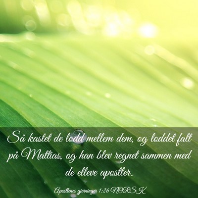 Picture 03 - Apostlenes gjerninger 1:26 NORSK - Så kastet de lodd mellem dem, og loddet falt på - Bible Verse Picture