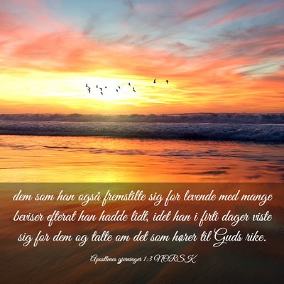 Picture 03 - Apostlenes gjerninger 1:3 NORSK - dem som han også fremstilte sig for levende med - Bible Verse Picture