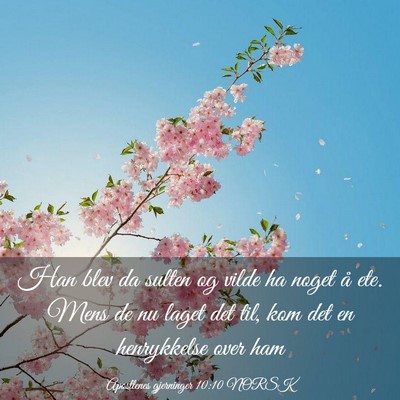 Picture 03 - Apostlenes gjerninger 10:10 NORSK - Han blev da sulten og vilde ha noget å ete. Mens - Bible Verse Picture